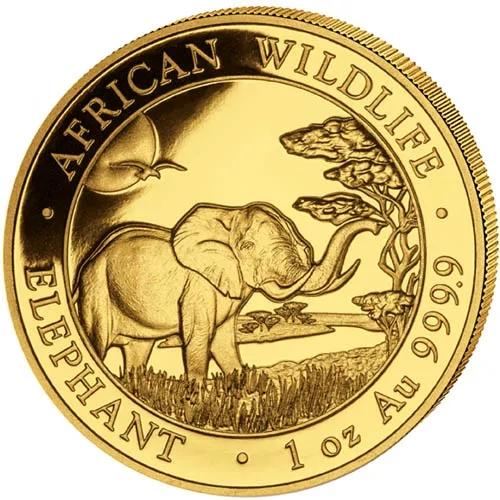 reverse side of the 2019 issue of the brilliant uncirculated 1 oz Somalian Elephant gold coins