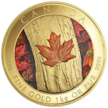 reverse side of the 1 kg Maple Leaf Forever gold coins that were issued in 2016