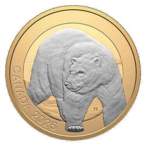 the polar bear is depicted on the first of the three gold-plated Animal Portraits silver coins that are issued in 2025 by the Royal Canadian Mint