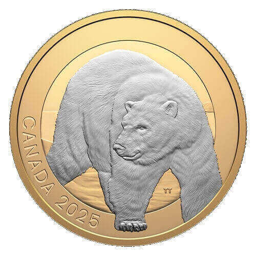 the polar bear is depicted on the first of the three gold-plated Animal Portraits silver coins that are issued in 2025 by the Royal Canadian Mint