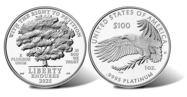 obverse and reverse side of the final coin issue of the First Amendment proof American Platinum Eagles