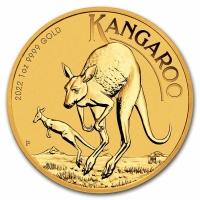 reverse side of the latest issue of the brilliant uncirculated 1 oz Gold Kangaroos