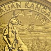partial zoomed-in view of the reverse side of the 2014 issue of the 1/10 oz BU Australian Kangaroo gold coins with Chinese Privy