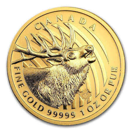 reverse side of the 2017 Canadian Call of the Wild Roaring Elk gold coin