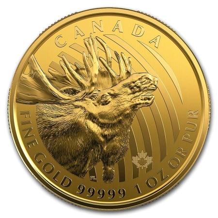 reverse side of the 2019 Canadian Call of the Wild Moose gold coin