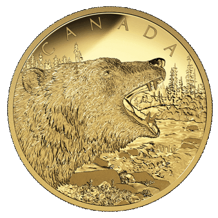 reverse side of the 2016 Canadian Call of the Wild Roaring Grizzly 1/2 kg proof gold coin