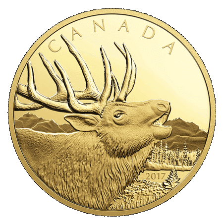 reverse side of the 2017 Canadian Call of the Wild Roaring Elk 1/2 kg proof gold coin