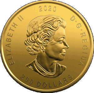 obverse side of the 2020 Bobcat issue of the brilliant uncirculated 1 oz Canadian Call of the Wild gold coins