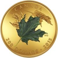 2015 Alluring Maple Leaves of Fall coloured Gold Maple Leaf coin