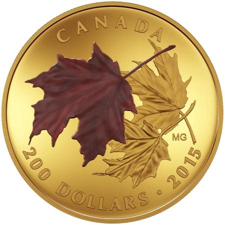 reverse side of the first coloured 1 oz proof coin included in the Alluring Maple Leaves of Fall set that was issued in 2015
