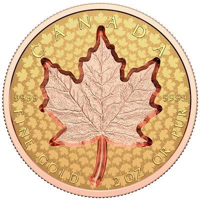reverse side of the 2022 modified reverse proof issue of the super incuse 2 oz Gold Maple Leaf coins