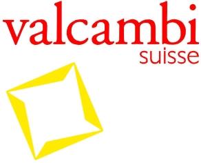 company logo of Valcambi Suisse