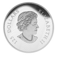 obverse side of the 2015 Growling Cougar issue of the proof 1/2 kg Canadian CALL OF THE WILD silver coins