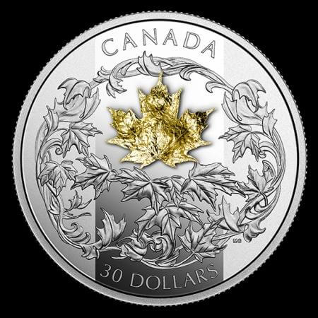 reverse side of the collectible 2 oz Silver Maple Leaf coin that was issued in 2018