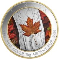 reverse side of the 2016 issue of the 1 kg Maple Leaf Forever silver coins