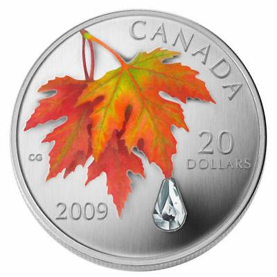 reverse side of the Crystal Raindrop Series coin that was issued in 2009