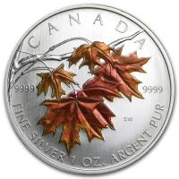 2007 coloured Canadian Silver Maple Leaf coin