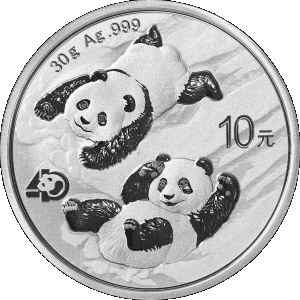 reverse side of the latest issue of the brilliant uncirculated 30 gram Chinese Silver Pandas